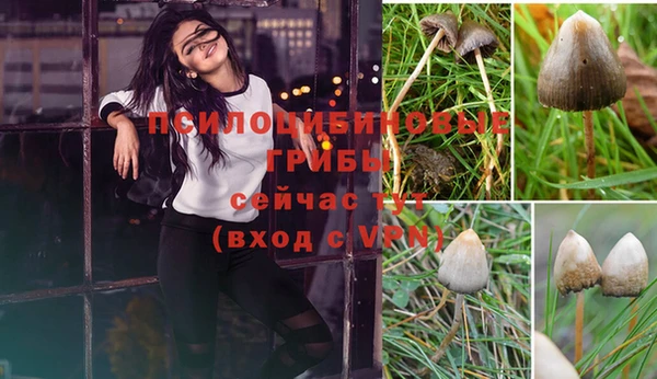 МДМА Рославль