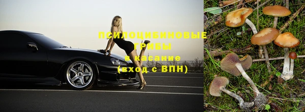 прущие крисы Тында