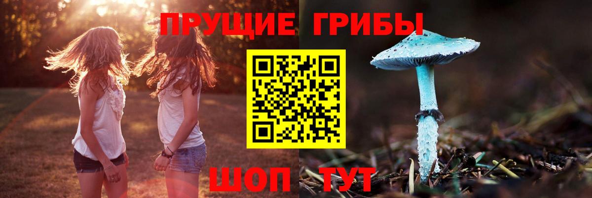 Минеральные Воды  Галлюциногенные грибы мухоморы  Вход с VPN 