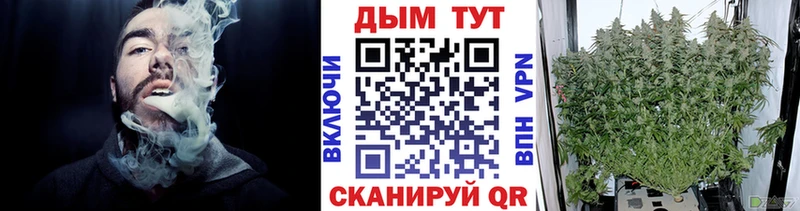 kraken как зайти  Минеральные Воды  Канабис индика 